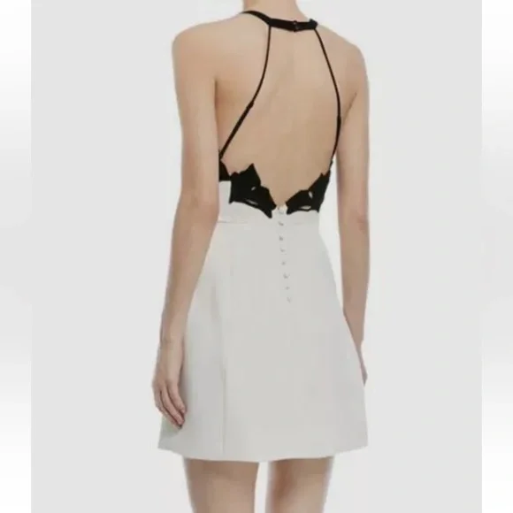 Halston Heritage White Embroidered Colorblock Mini Dress - Picture 3 of 10